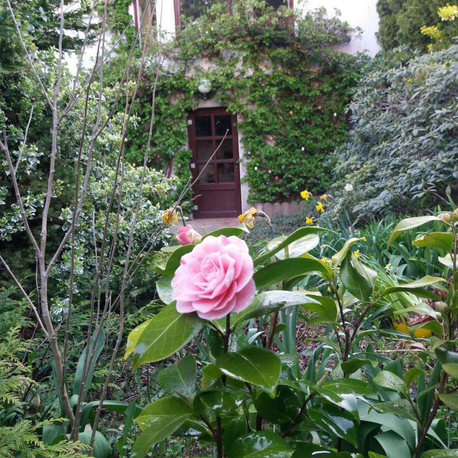 Appartement auf Rügen Sagard Exterior foto