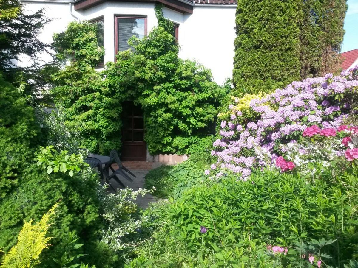 Appartement auf Rügen Sagard Exterior foto